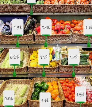 Colorful Shelf Price Label, Display Plastic Pop Holder Clips, Price Tag Holder, Price tag Display