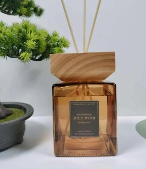 500ml flameless aromatherapy diffuser for hotel bathrooms and home Reed Diffuser