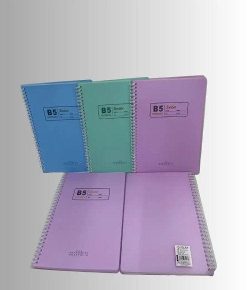 Shenshi Spiral Notebook A4 / B5 90 Pages