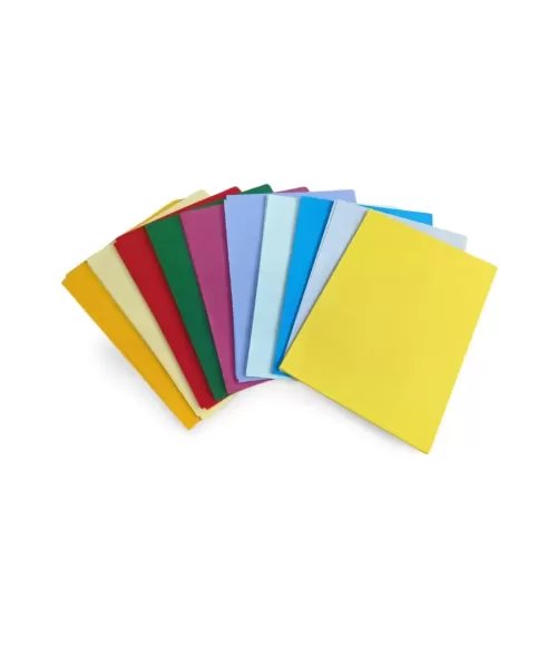 A4 Colored Paper (80gsm) 200 sheets Value Pack (Assorted Color’s)